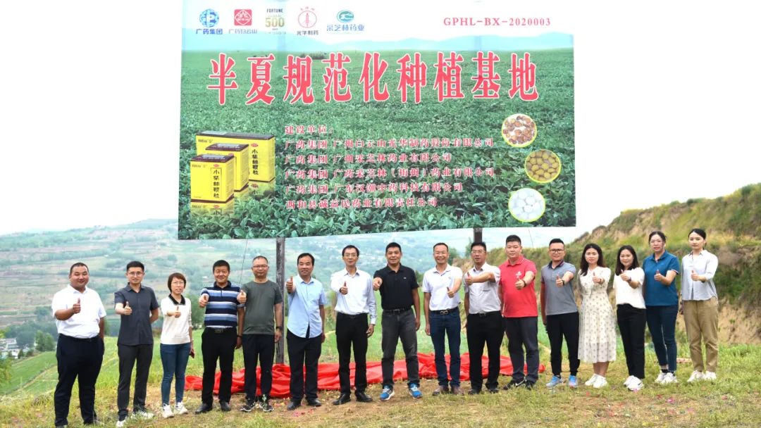 白云山pp电子公司实地调查调研中药材规范化基地