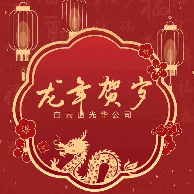金龙贺岁丨白云山pp电子公司给您拜年啦！
