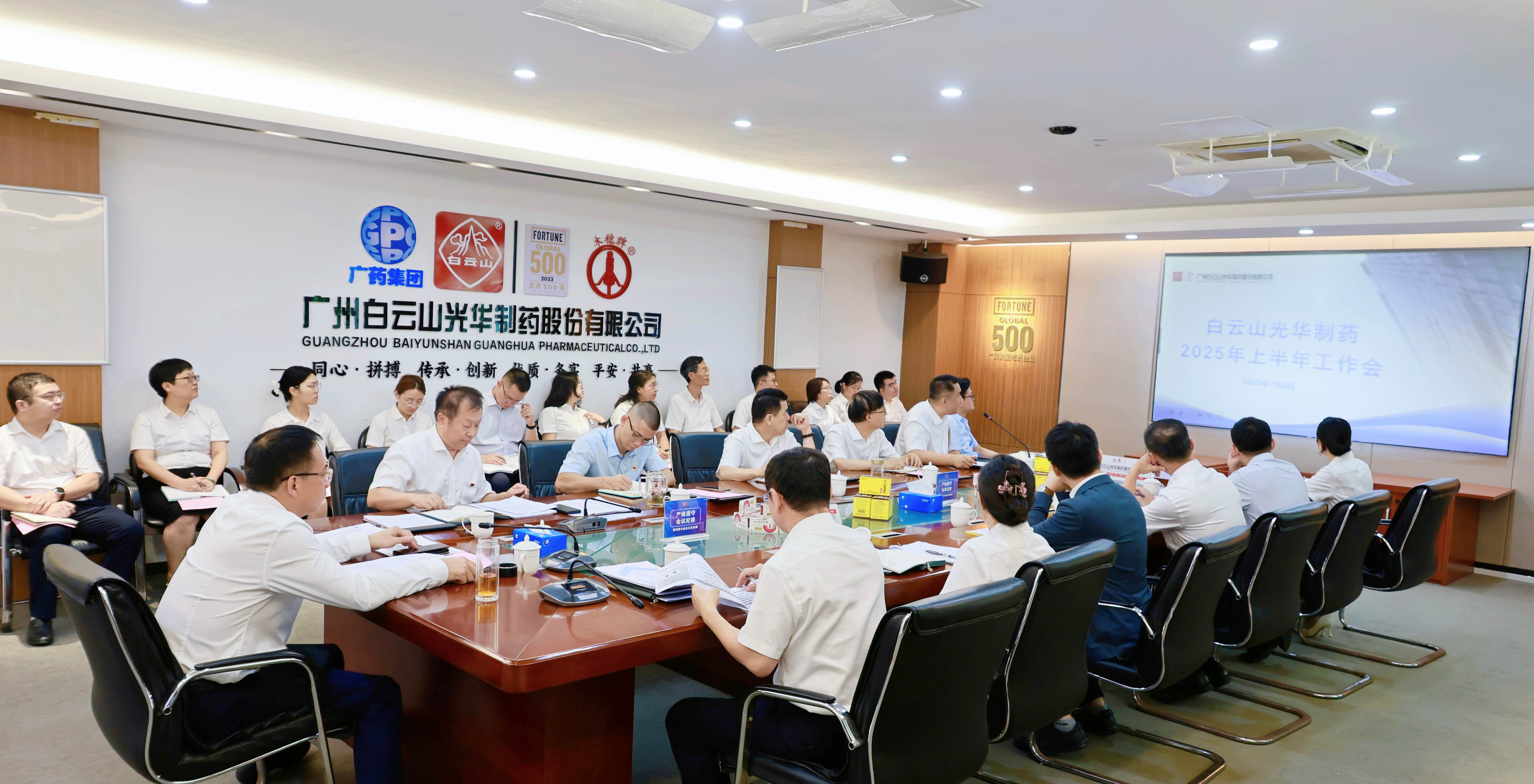 严实风格强根基 奋楫冲刺创新绩——白云山pp电子造药召开2025年上半年工作会议